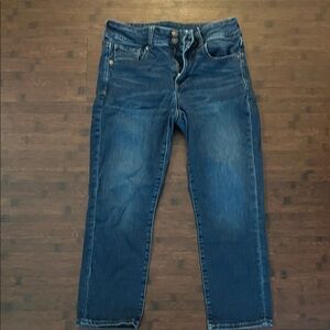 American Eagle Outfitters Women Dark Blue Straight Jeans Pair 1